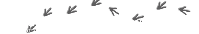 Suncoast Sandpipers Volkssport banner image
